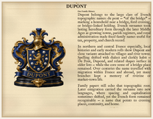 
Carregar imagem no visualizador da galeria, Sample Last Name Origin PDF — The Dupont Family — dense Standard layout, coat of arms left, surname history right — Herald Lab SAMPLE