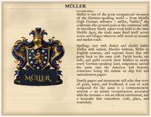 
Laden Sie das Bild in den Galerie-Viewer, Beispiel Nachnamensherkunft — Die Familie Müller: Wappen links, Namensgeschichte rechts (Herald Lab) — denser Standard gallery sample